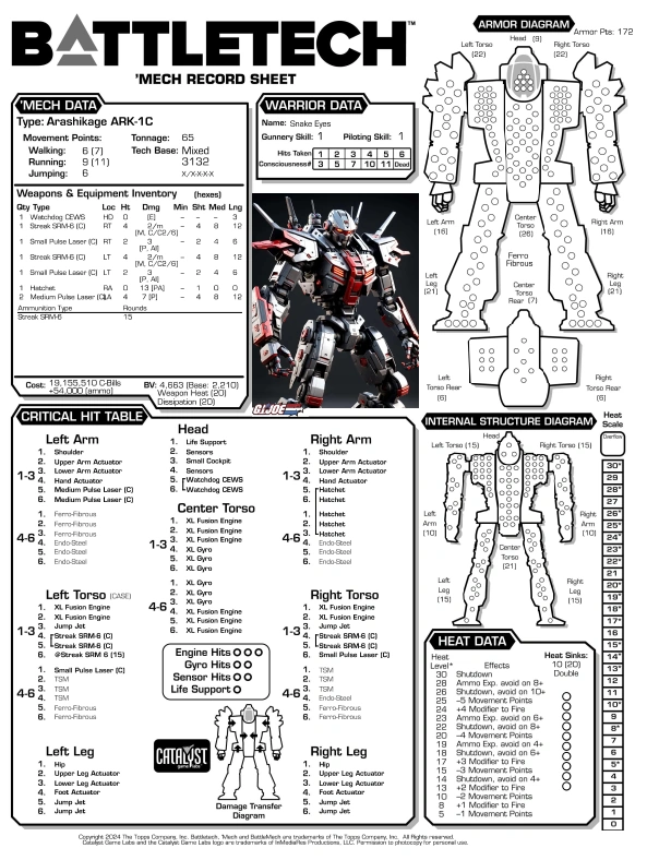 Arashikage Battlemech, custom